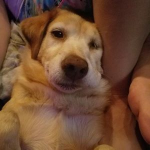 Meet your Posher, Sheila